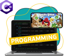 C# programming. The wonderful world of 2D games - Programming for children in {city_im}
